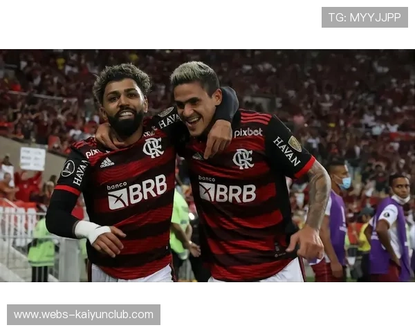 巴西所在组的竞争密度被列为本届最佳观察样本之一